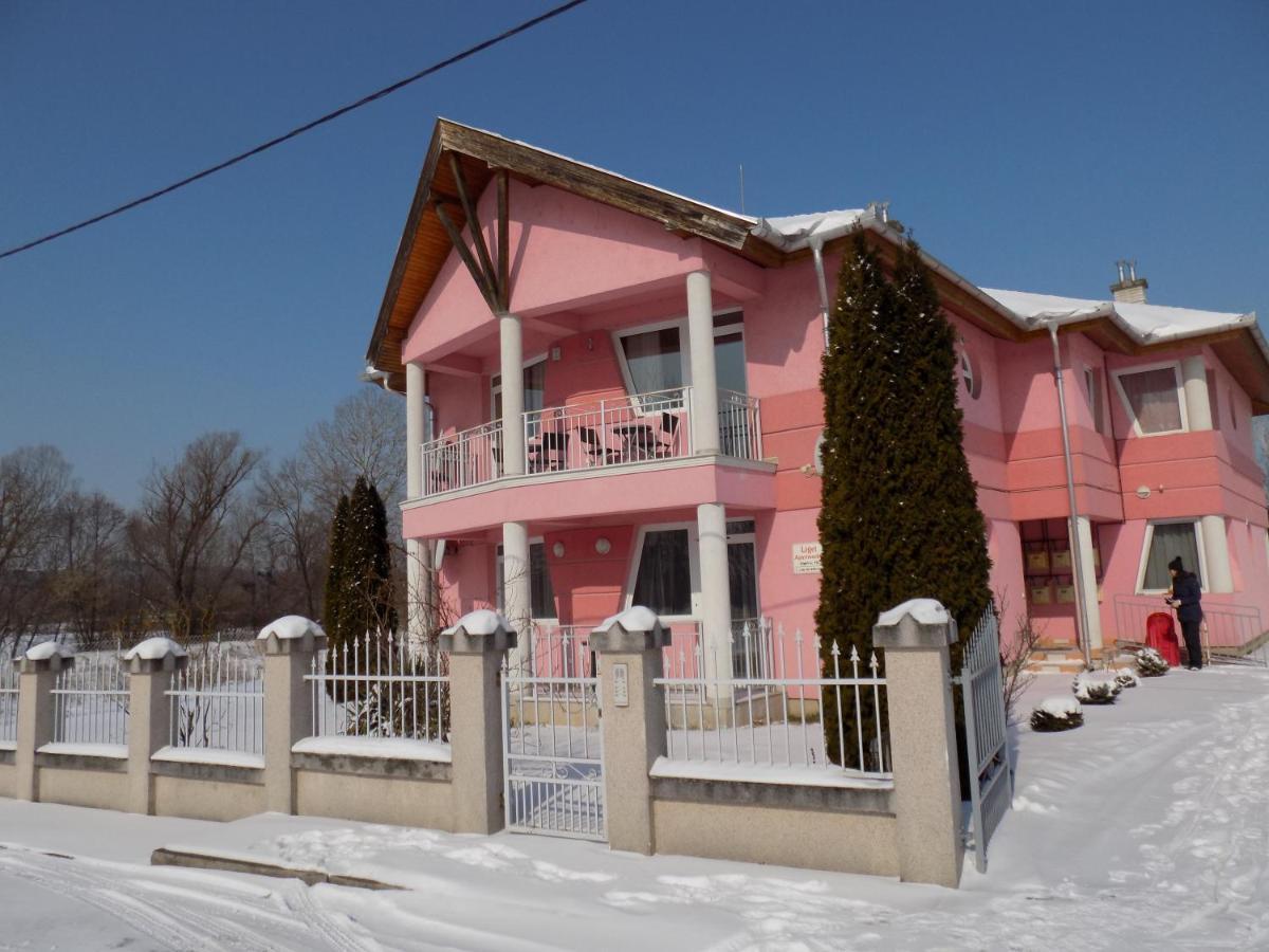 Liget Apartmanhaz Kehidakustány Εξωτερικό φωτογραφία